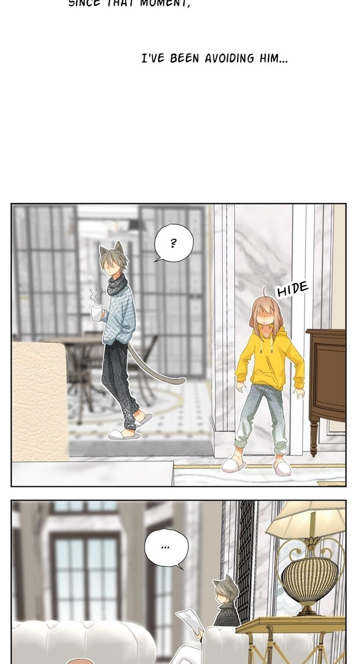 A World Ruled by Cats chapter 37 - page 2