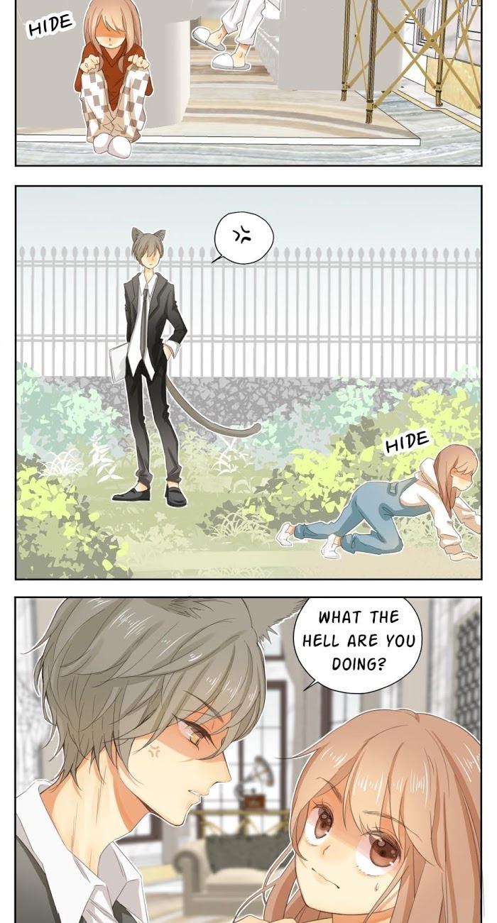 A World Ruled by Cats chapter 37 - page 3
