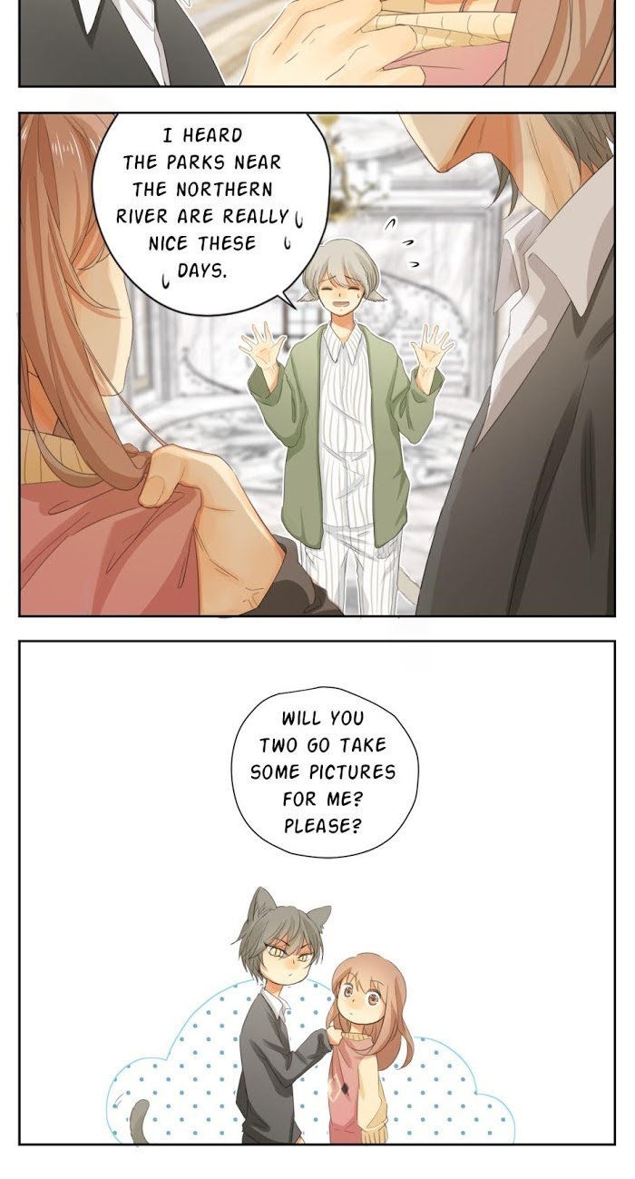 A World Ruled by Cats chapter 37 - page 4