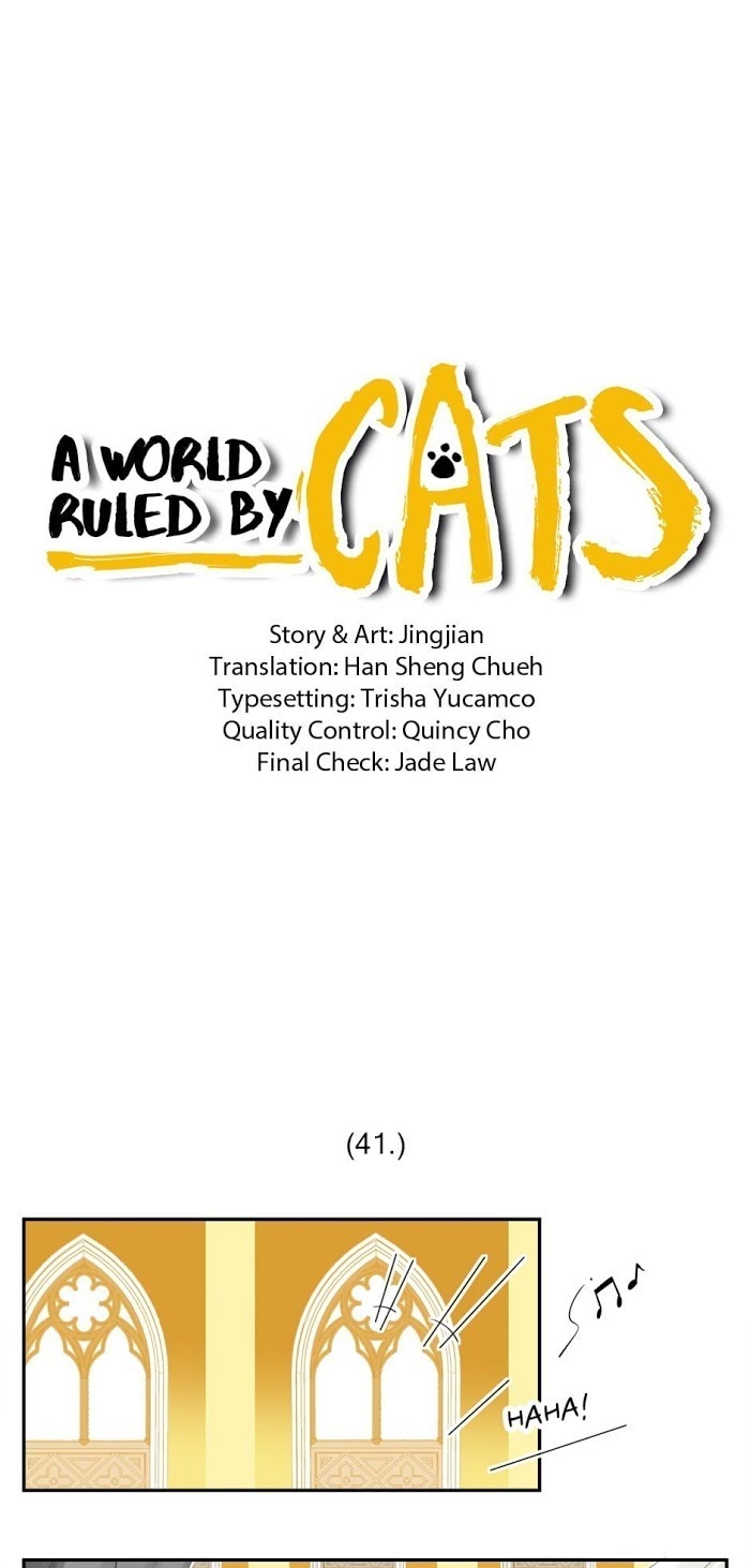 A World Ruled by Cats chapter 41 - page 1