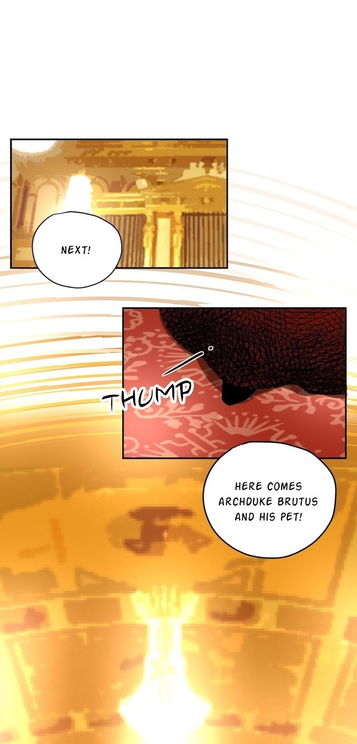A World Ruled by Cats chapter 41 - page 13