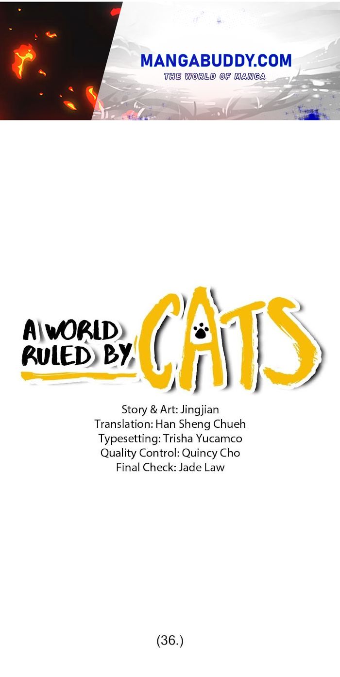 A World Ruled by Cats chapter 36 - page 1
