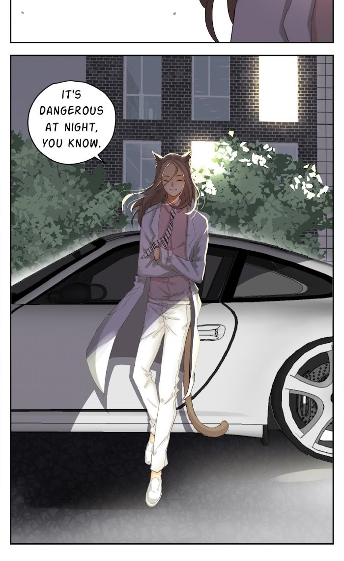 A World Ruled by Cats chapter 36 - page 4