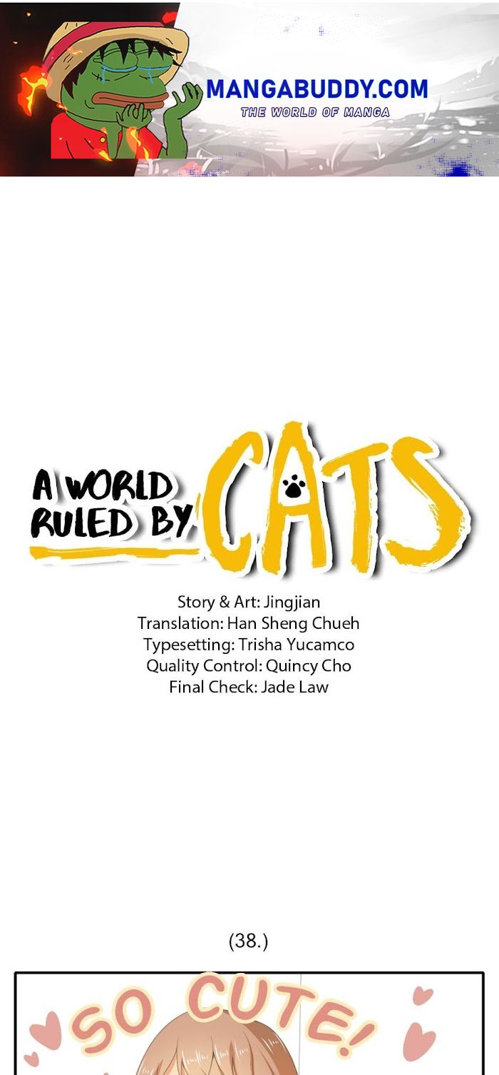 A World Ruled by Cats chapter 38 - page 1