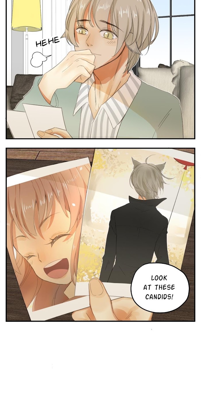 A World Ruled by Cats chapter 38 - page 15