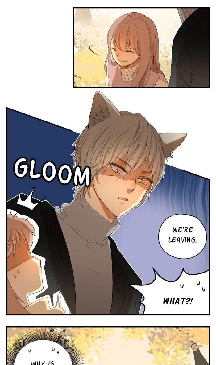 A World Ruled by Cats chapter 38 - page 6