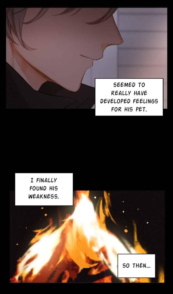 A World Ruled by Cats chapter 66 - page 9