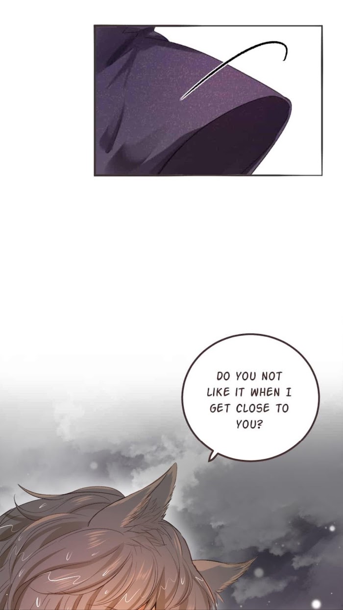 A World Ruled by Cats chapter 67 - page 12