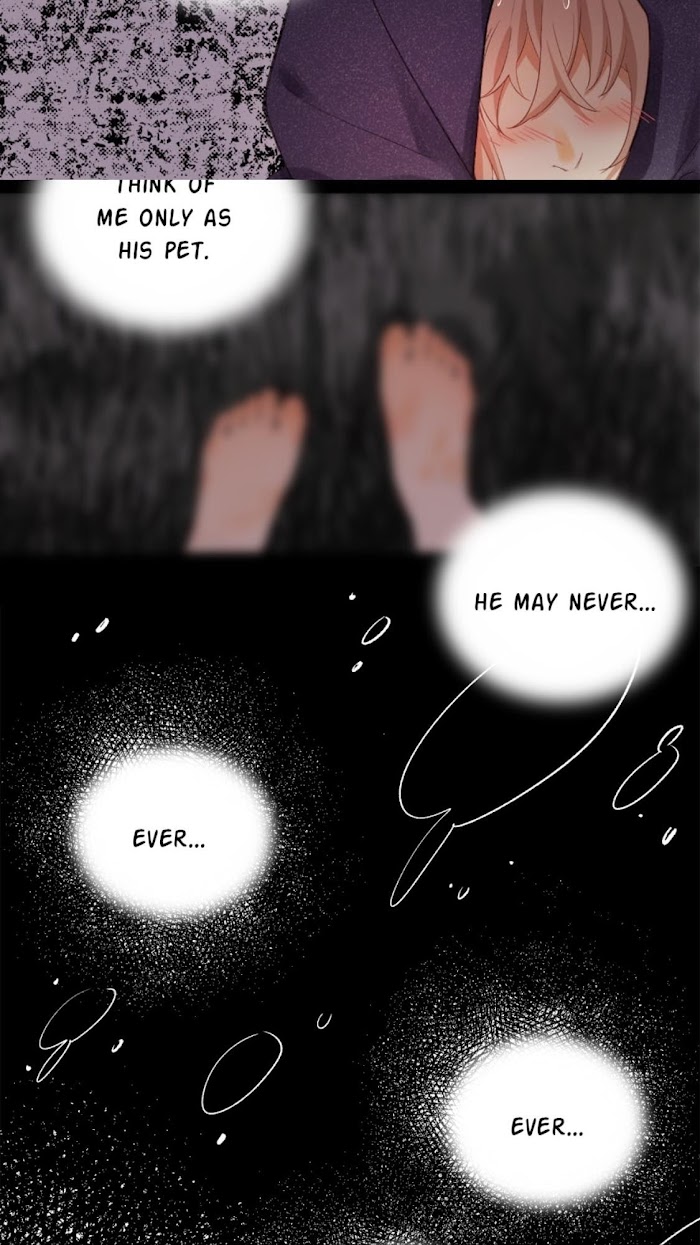 A World Ruled by Cats chapter 67 - page 21