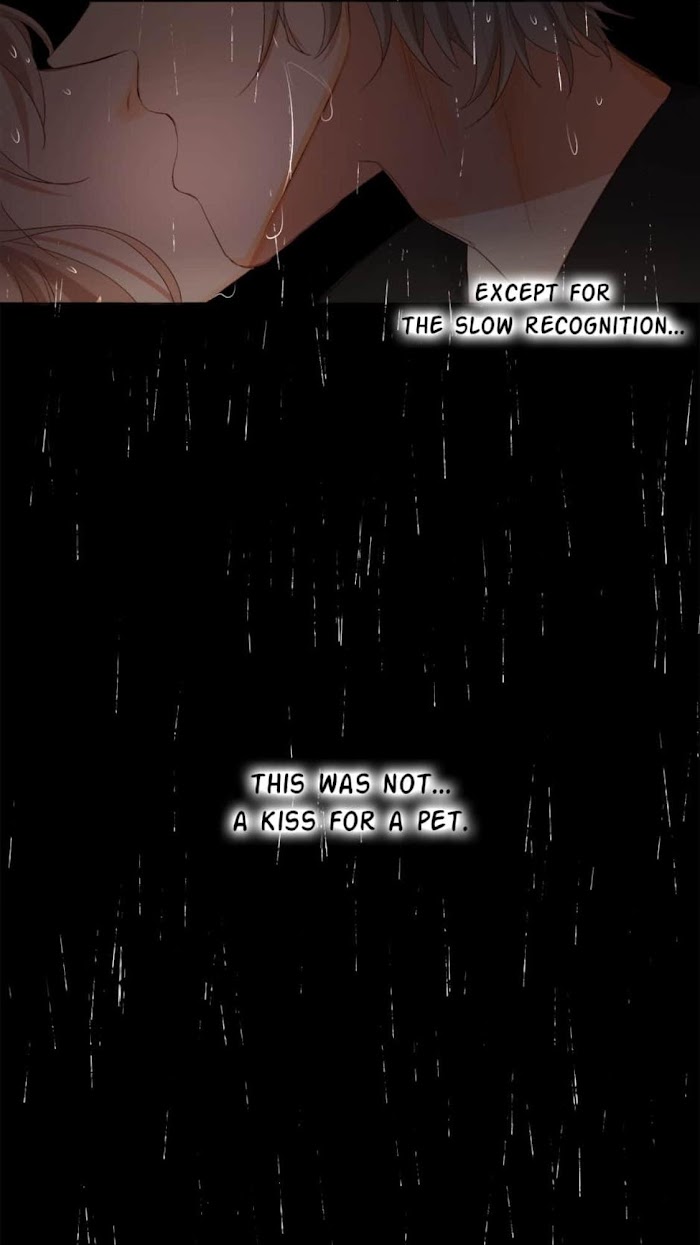 A World Ruled by Cats chapter 67 - page 30