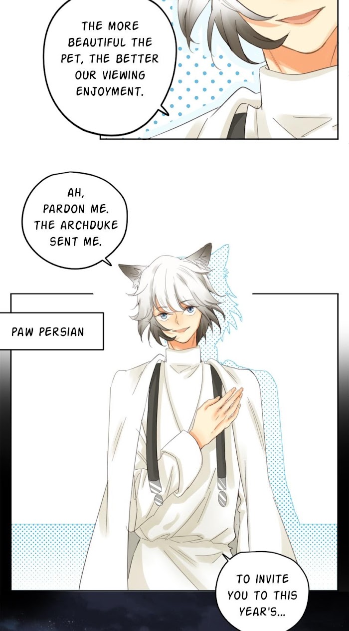 A World Ruled by Cats chapter 39 - page 13