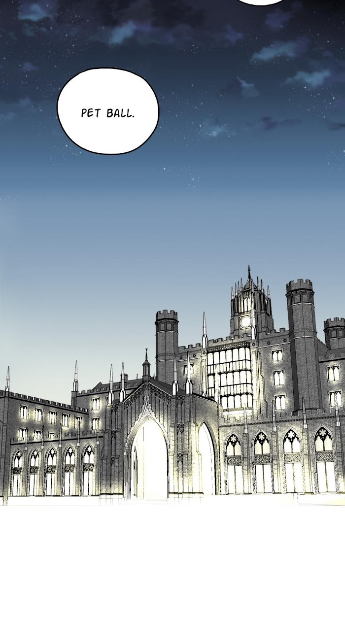 A World Ruled by Cats chapter 39 - page 14