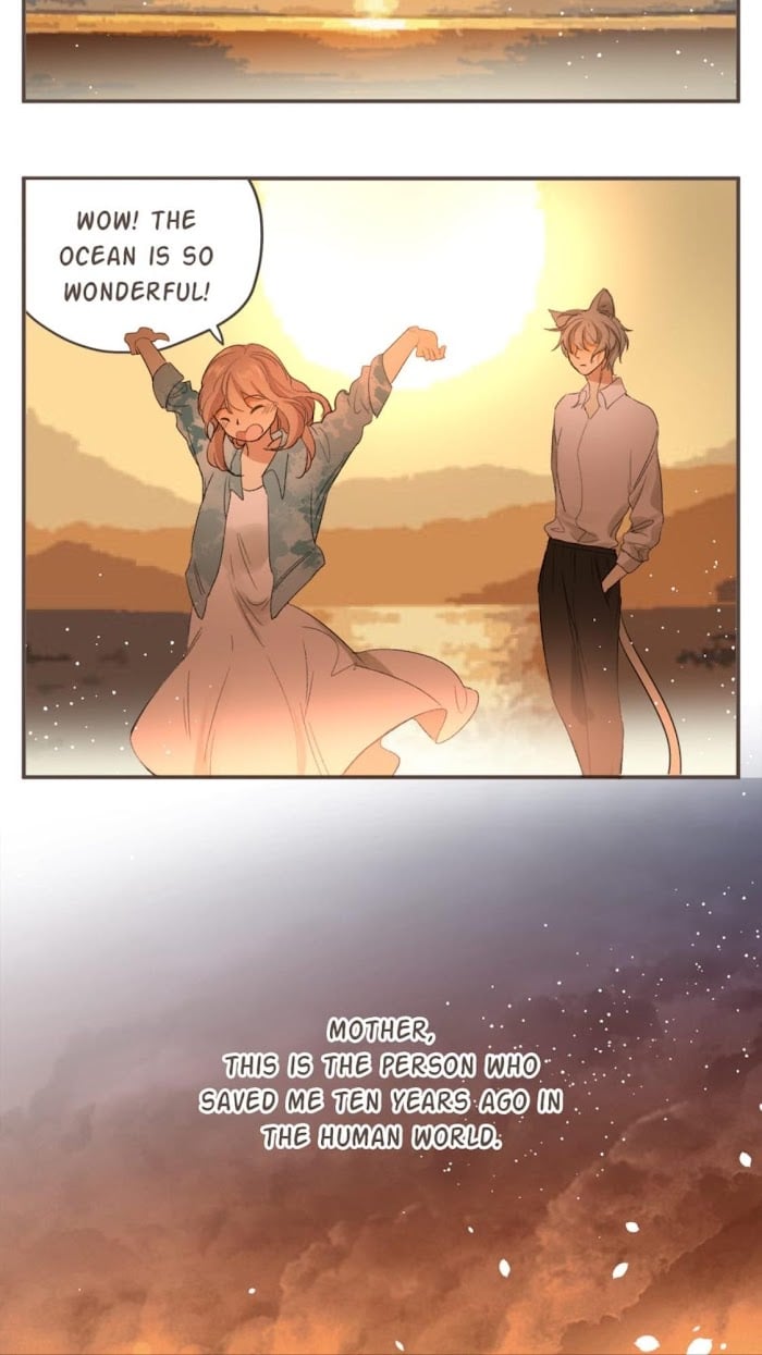A World Ruled by Cats chapter 68 - page 23