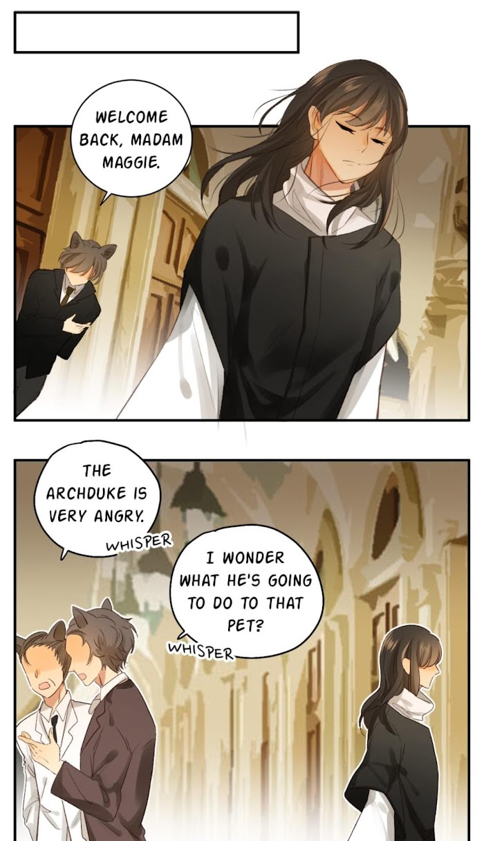 A World Ruled by Cats chapter 69 - page 10