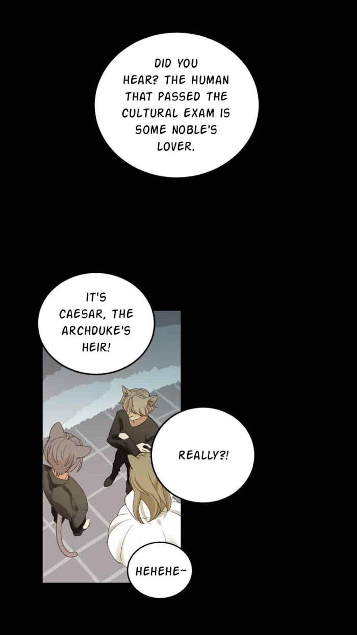 A World Ruled by Cats chapter 69 - page 2