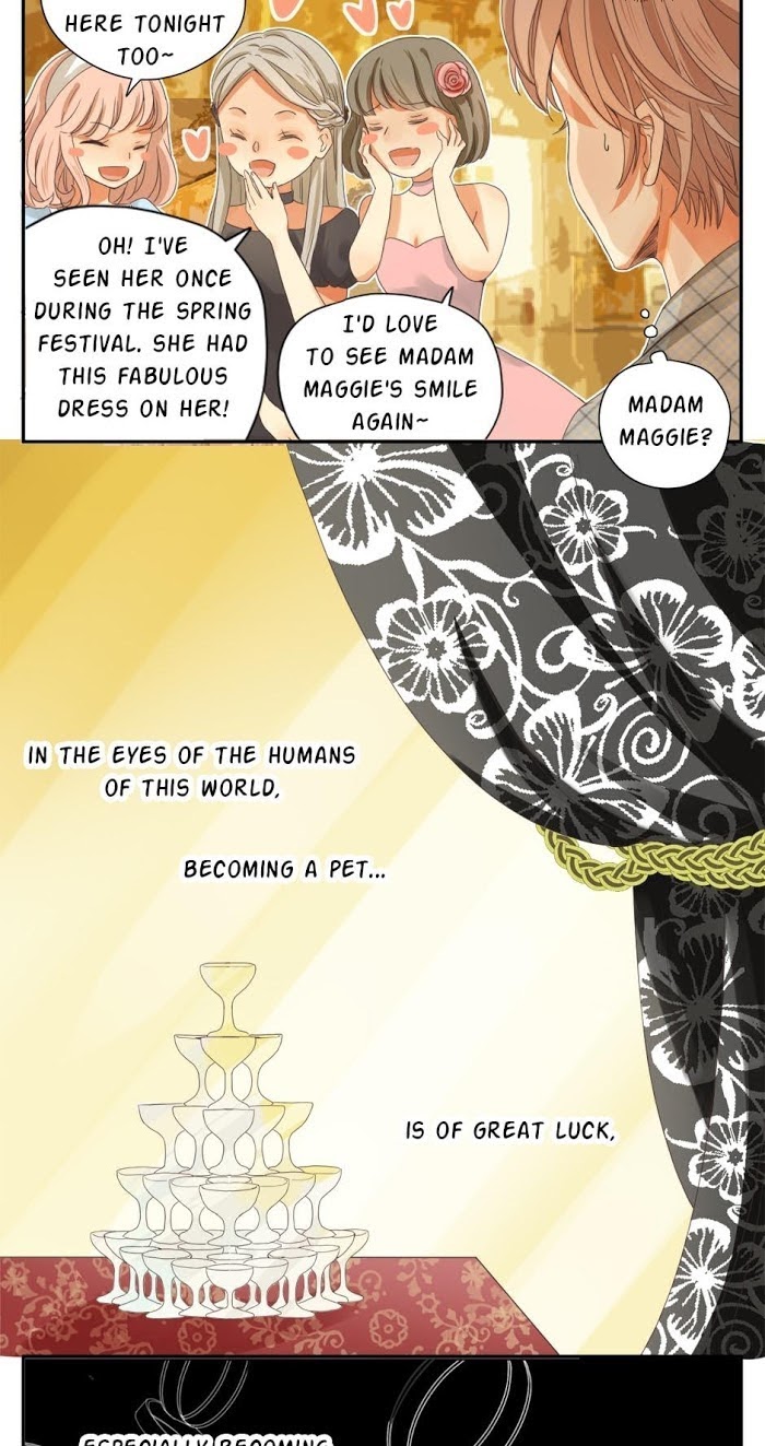 A World Ruled by Cats chapter 40 - page 5
