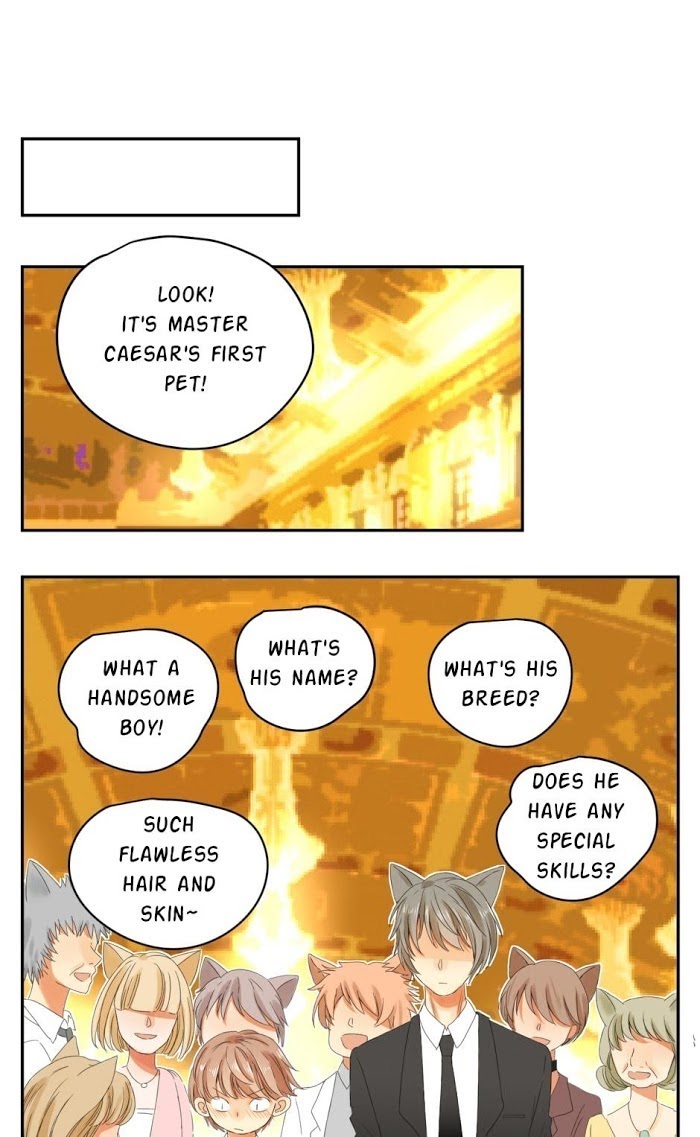 A World Ruled by Cats chapter 40 - page 7