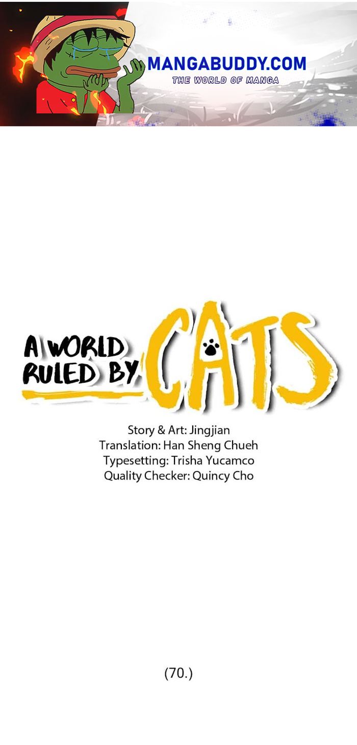 A World Ruled by Cats chapter 70 - page 1