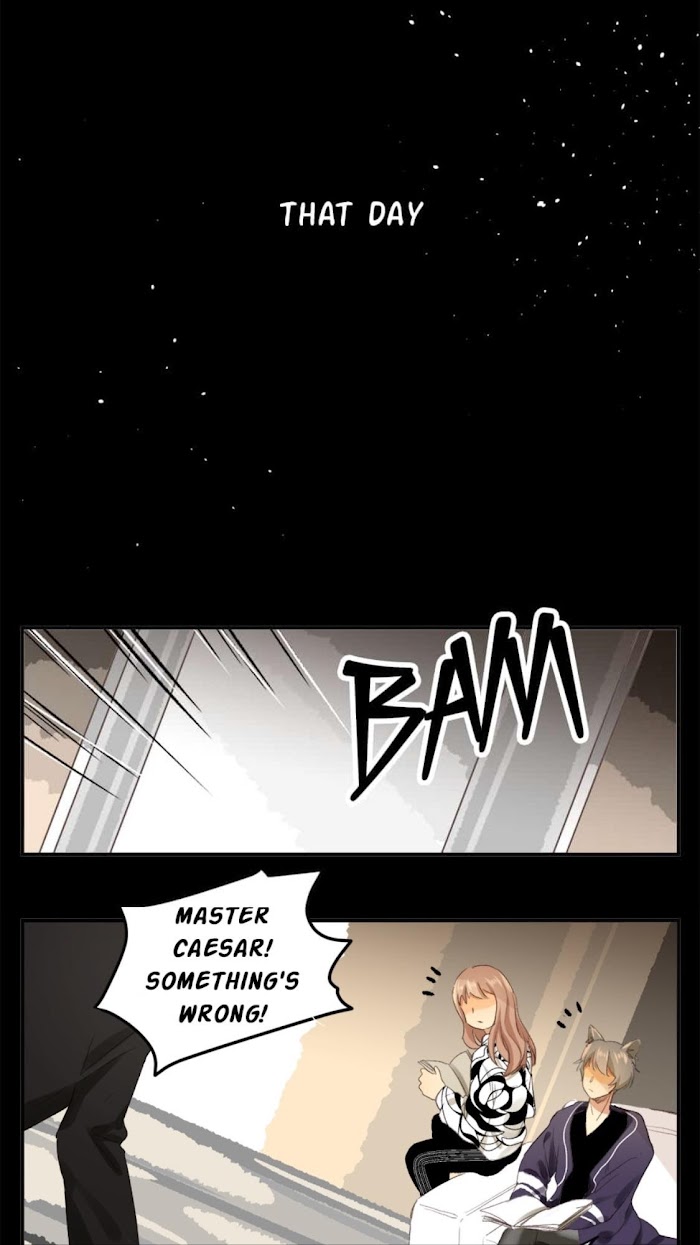 A World Ruled by Cats chapter 70 - page 13