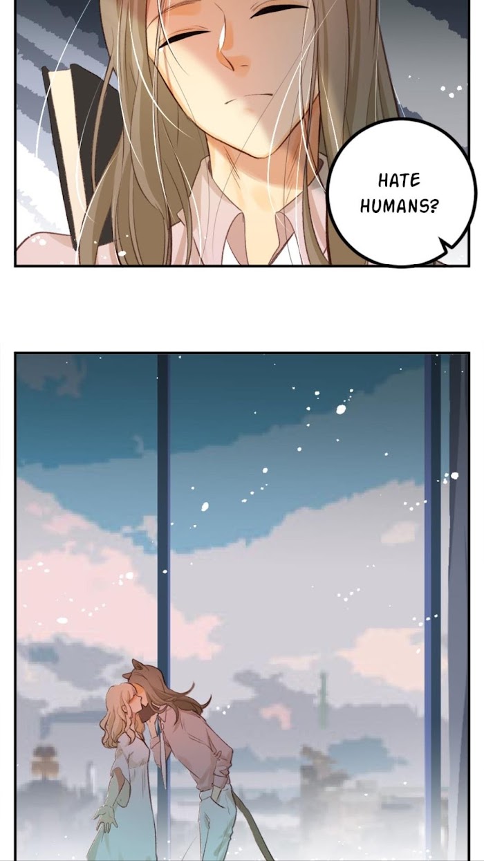 A World Ruled by Cats chapter 70 - page 4