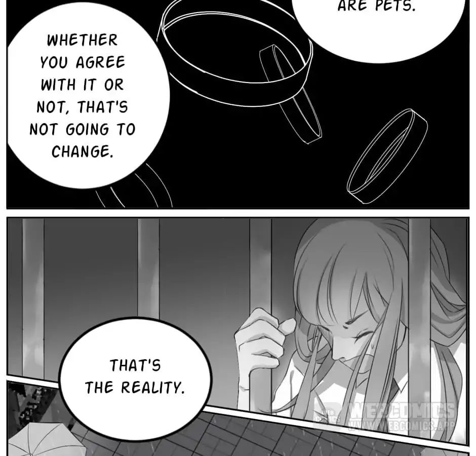 A World Ruled by Cats chapter 6 - page 19