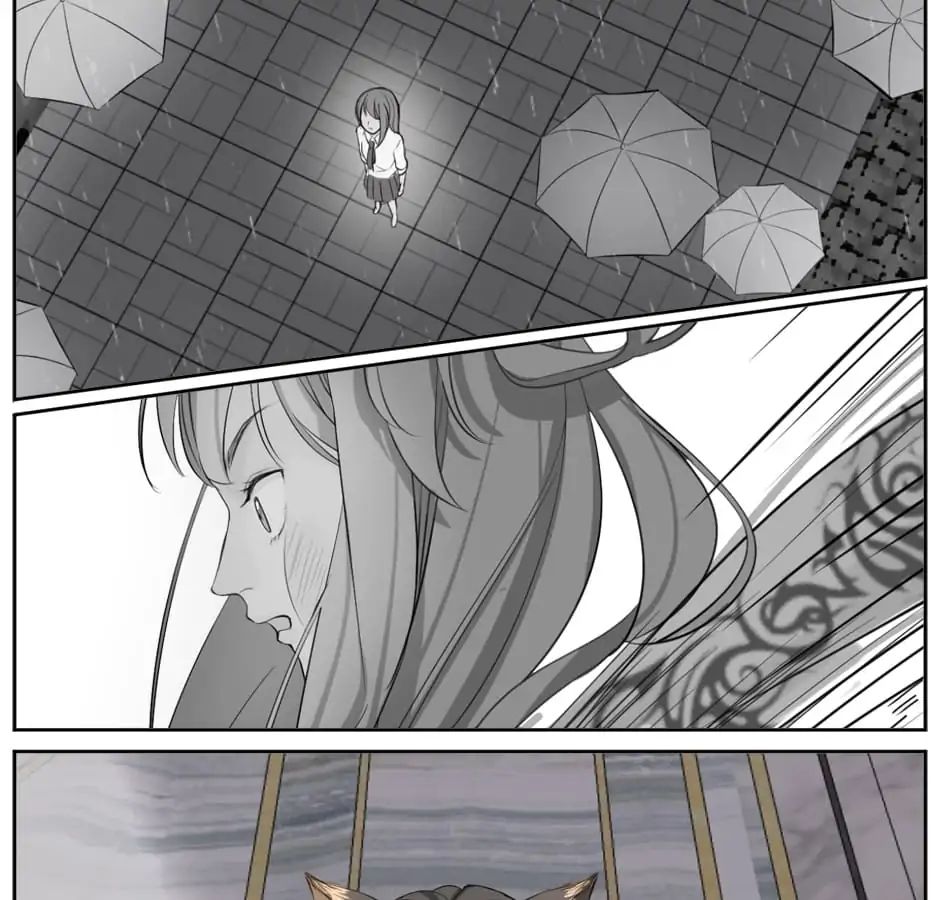 A World Ruled by Cats chapter 6 - page 20