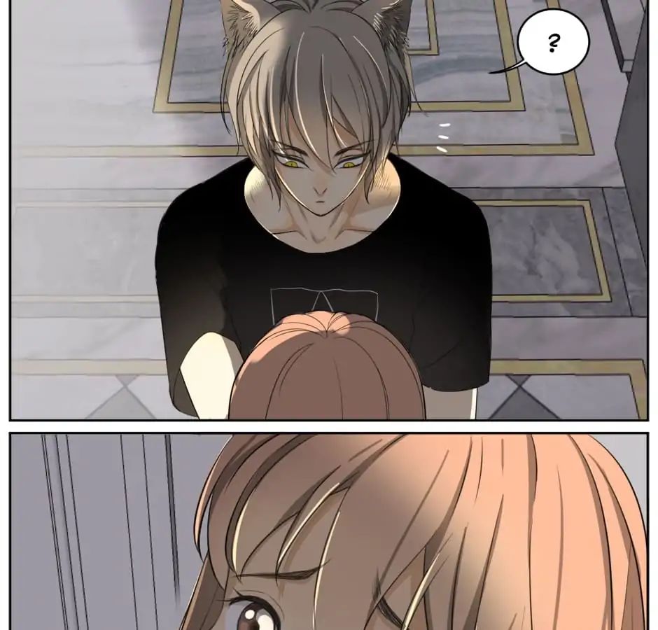 A World Ruled by Cats chapter 6 - page 21