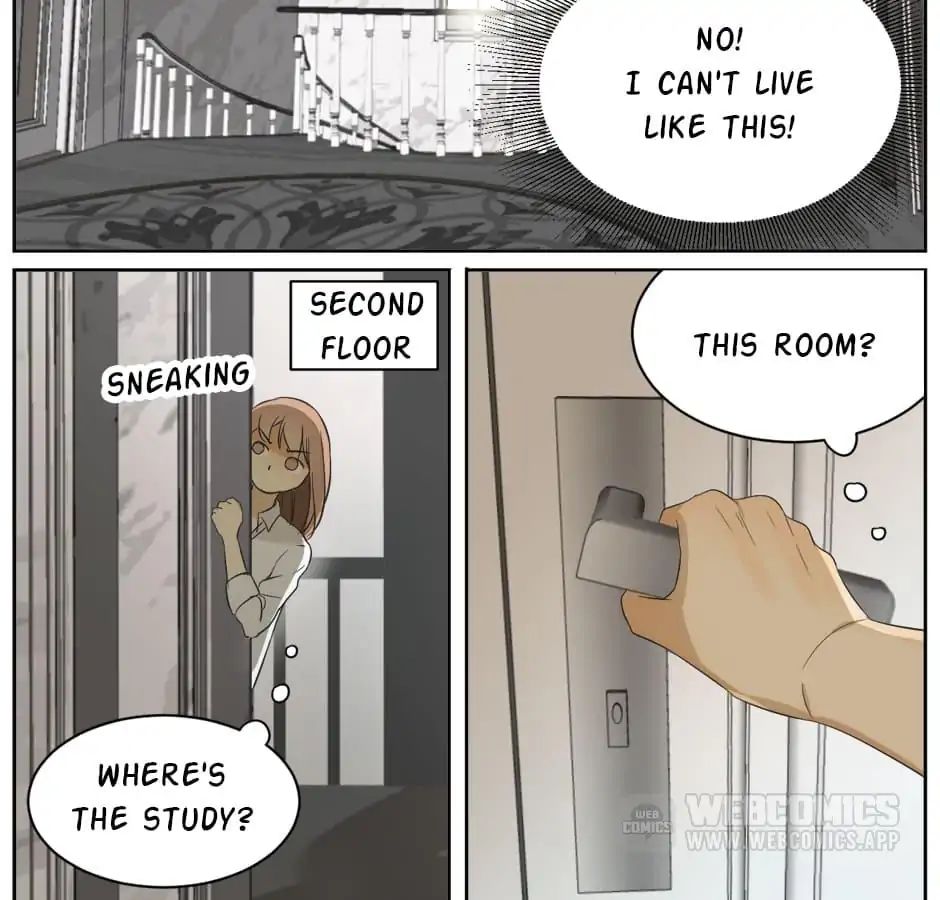 A World Ruled by Cats chapter 7 - page 7