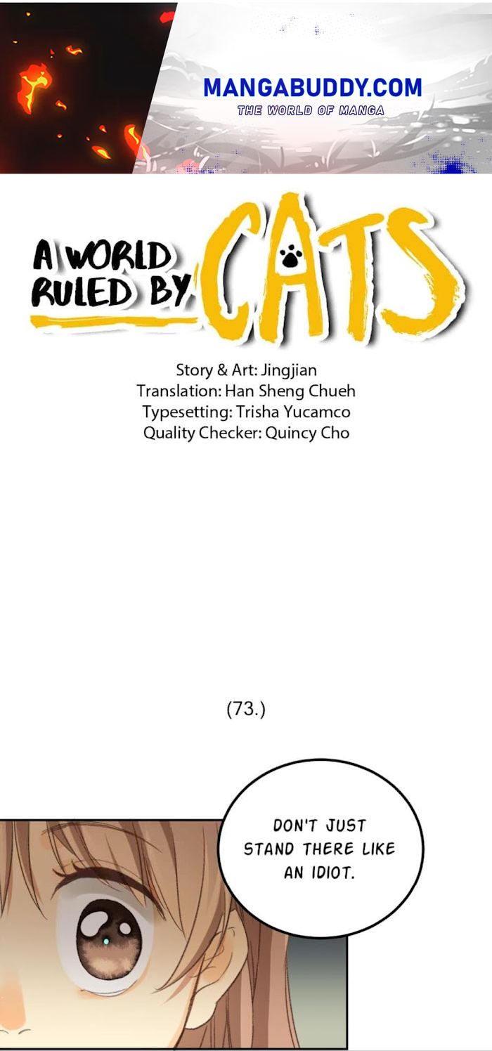 A World Ruled by Cats chapter 73 - page 1