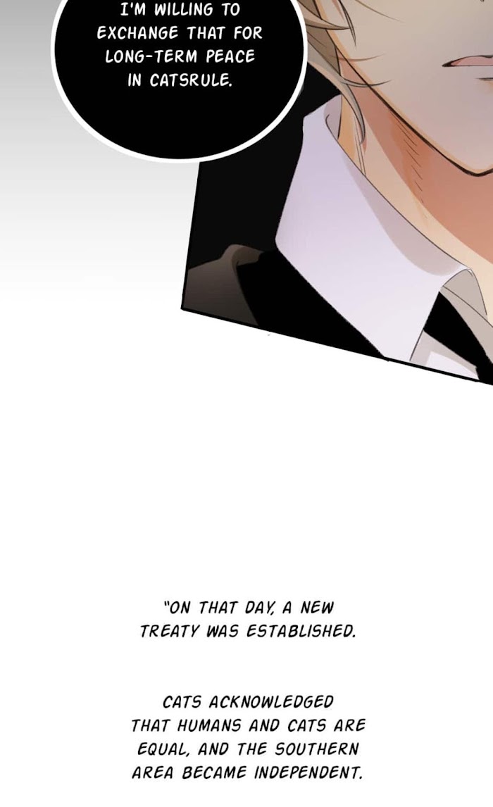 A World Ruled by Cats chapter 73 - page 18