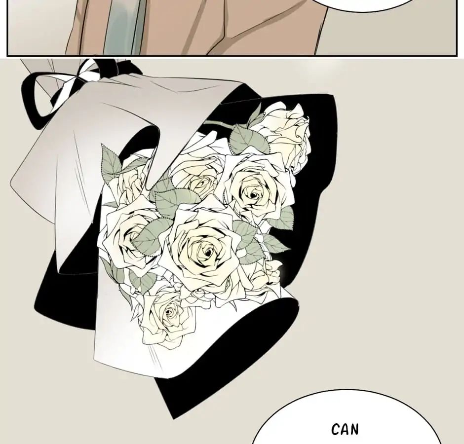 A World Ruled by Cats chapter 8 - page 13