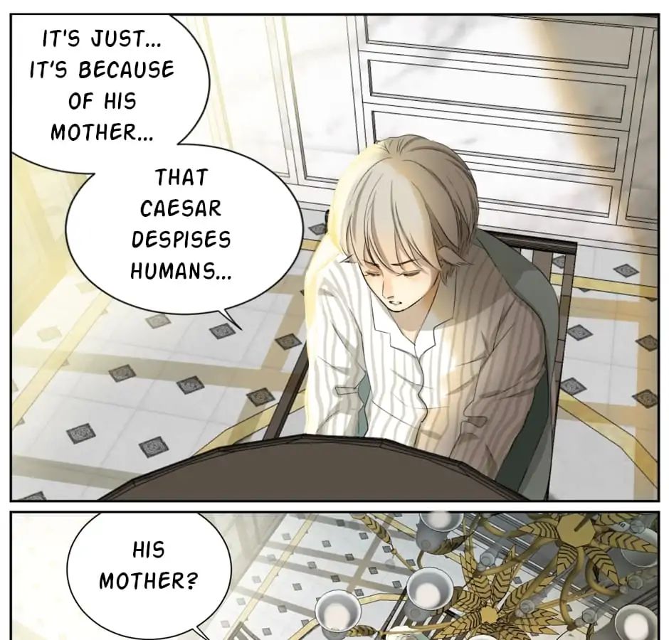 A World Ruled by Cats chapter 8 - page 30