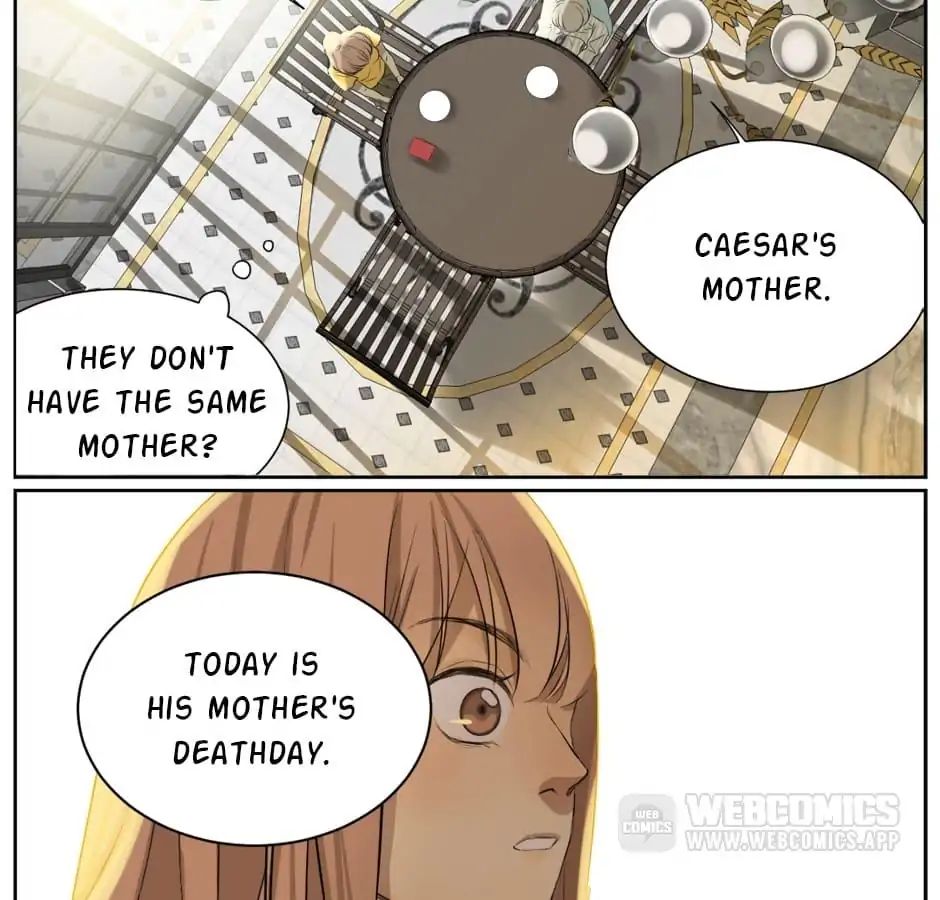 A World Ruled by Cats chapter 8 - page 31