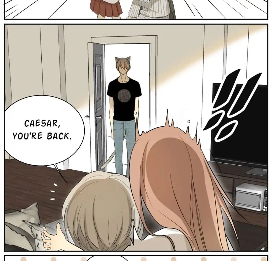 A World Ruled by Cats chapter 8 - page 5