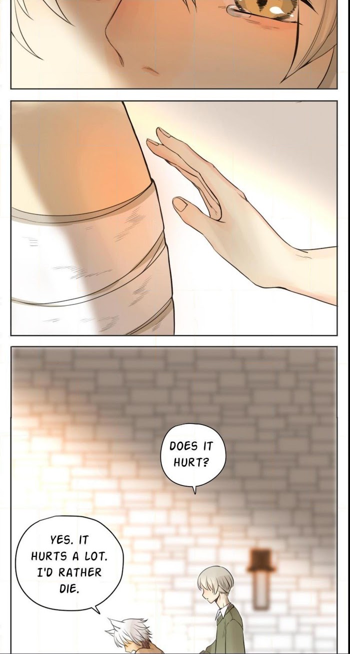 A World Ruled by Cats chapter 29 - page 13