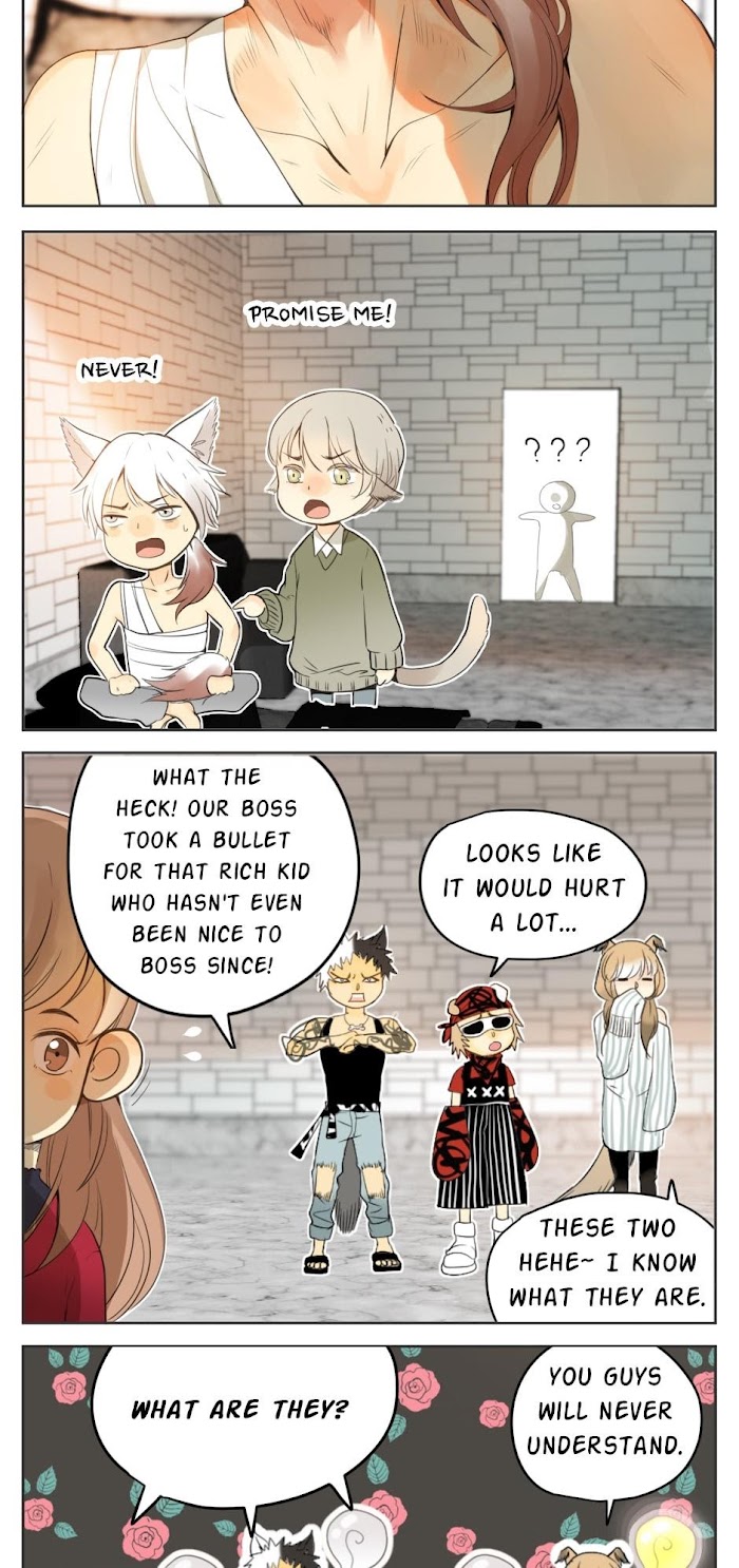 A World Ruled by Cats chapter 29 - page 4