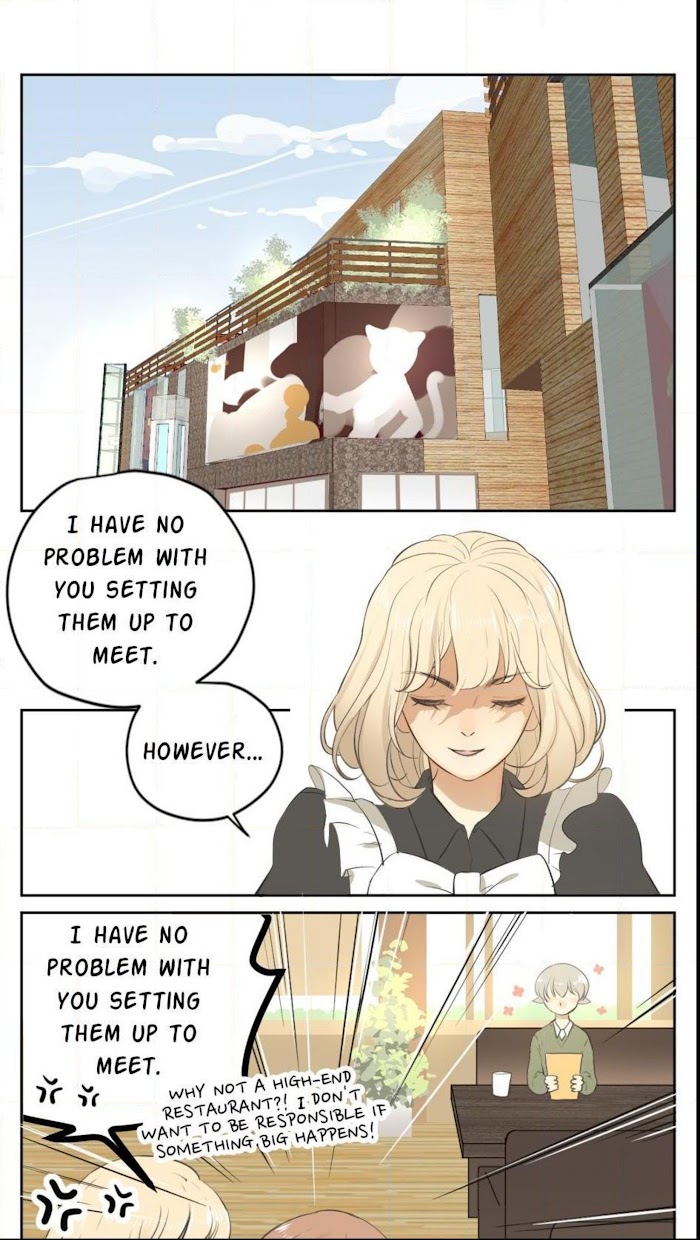 A World Ruled by Cats chapter 27 - page 7