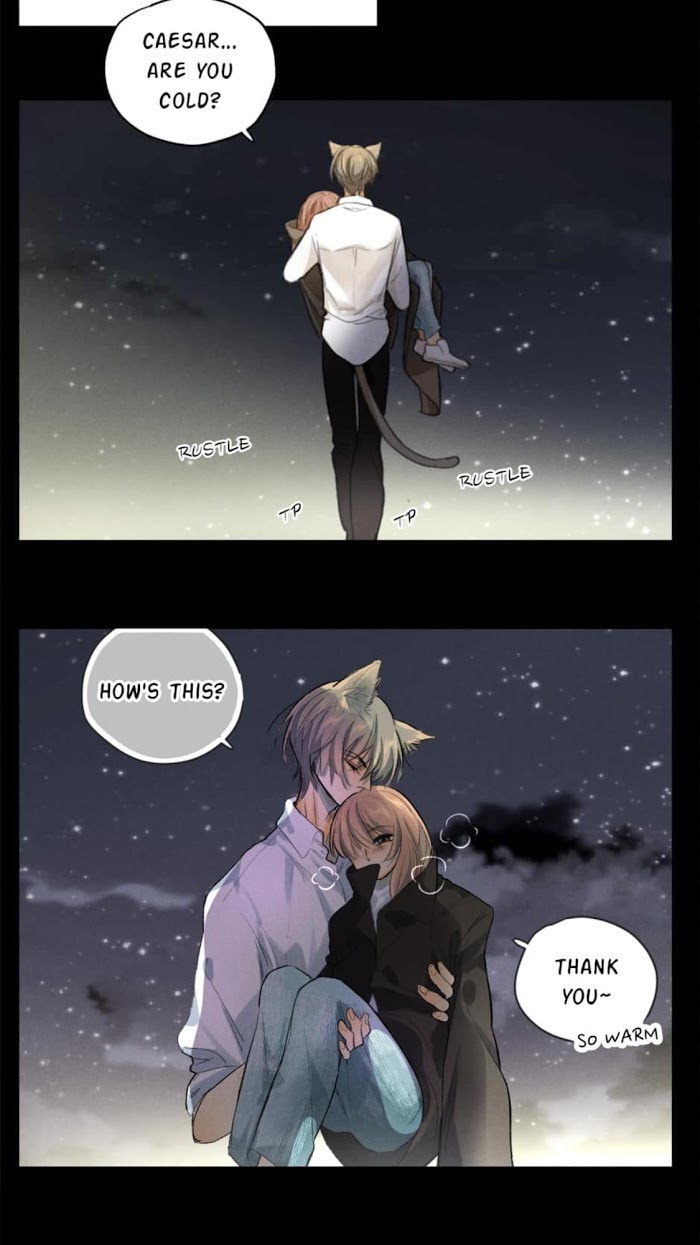 A World Ruled by Cats chapter 77 - page 12