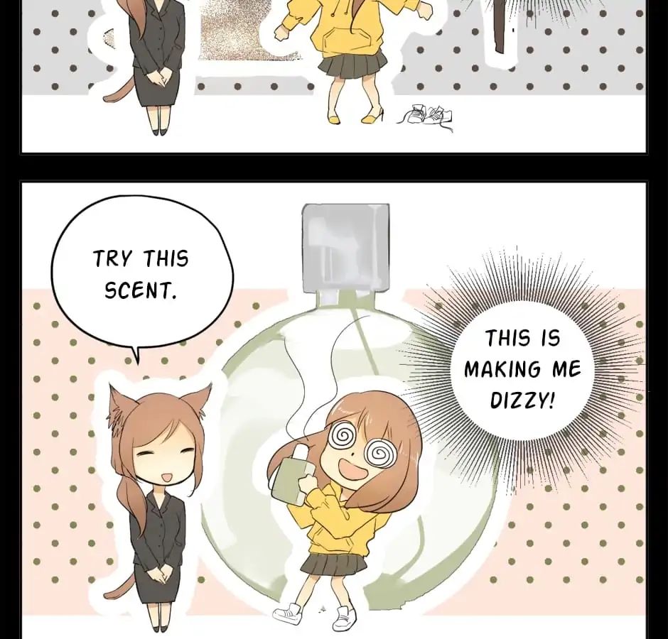 A World Ruled by Cats chapter 17 - page 28