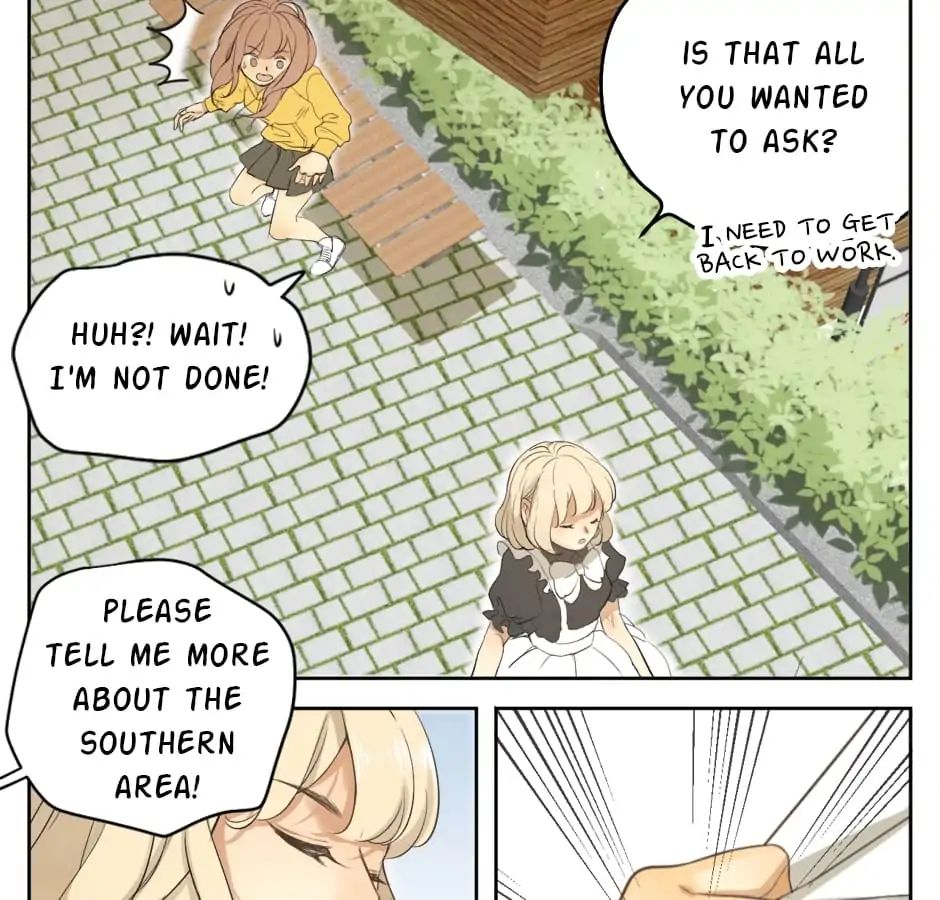 A World Ruled by Cats chapter 17 - page 5