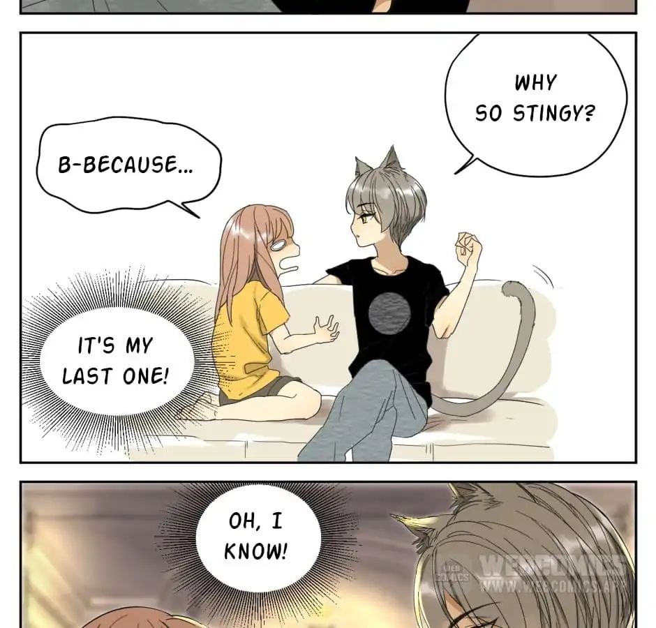 A World Ruled by Cats chapter 10 - page 11