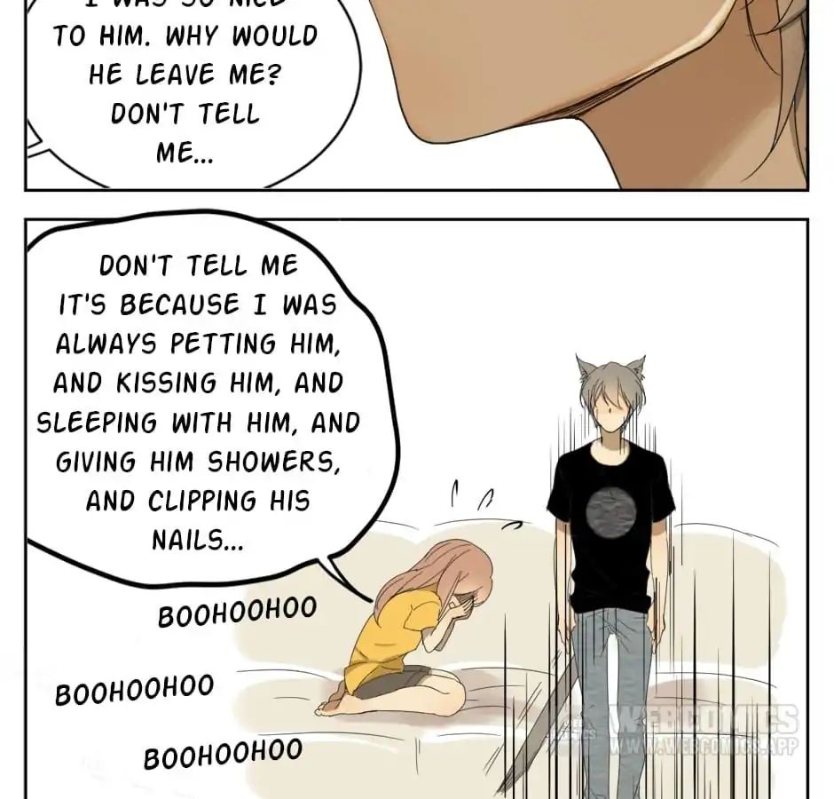 A World Ruled by Cats chapter 10 - page 25