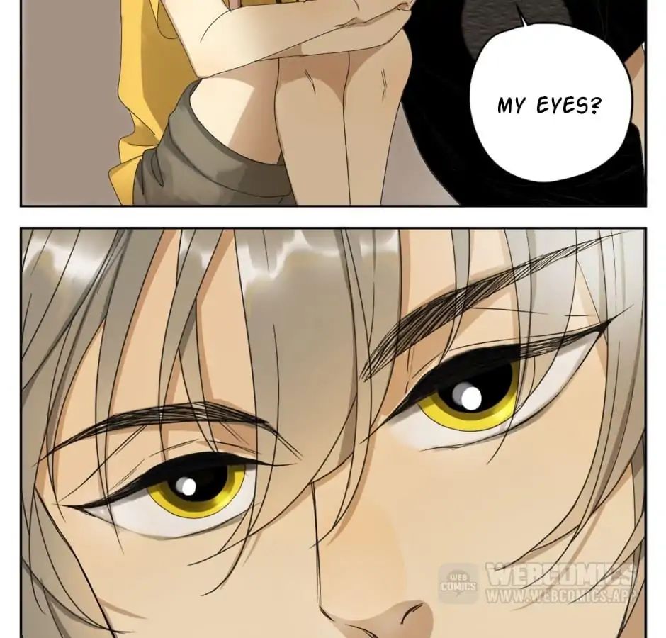 A World Ruled by Cats chapter 10 - page 7