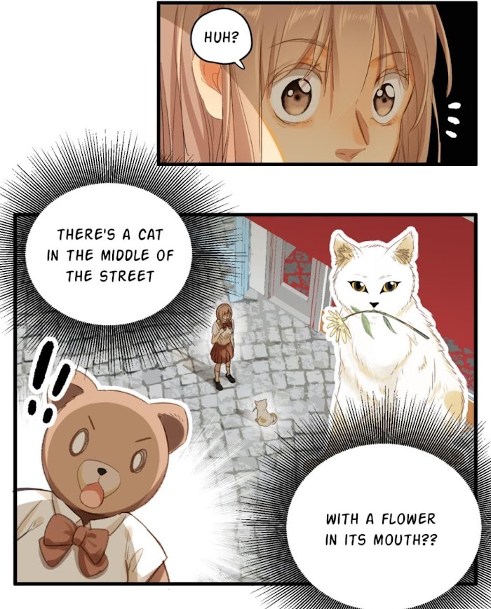 A World Ruled by Cats chapter 79 - page 5
