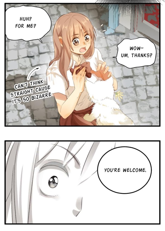 A World Ruled by Cats chapter 79 - page 6