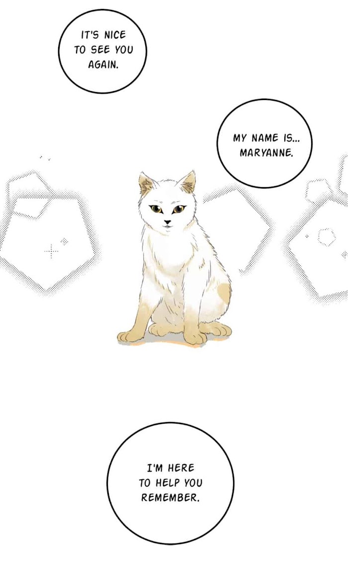 A World Ruled by Cats chapter 79 - page 8
