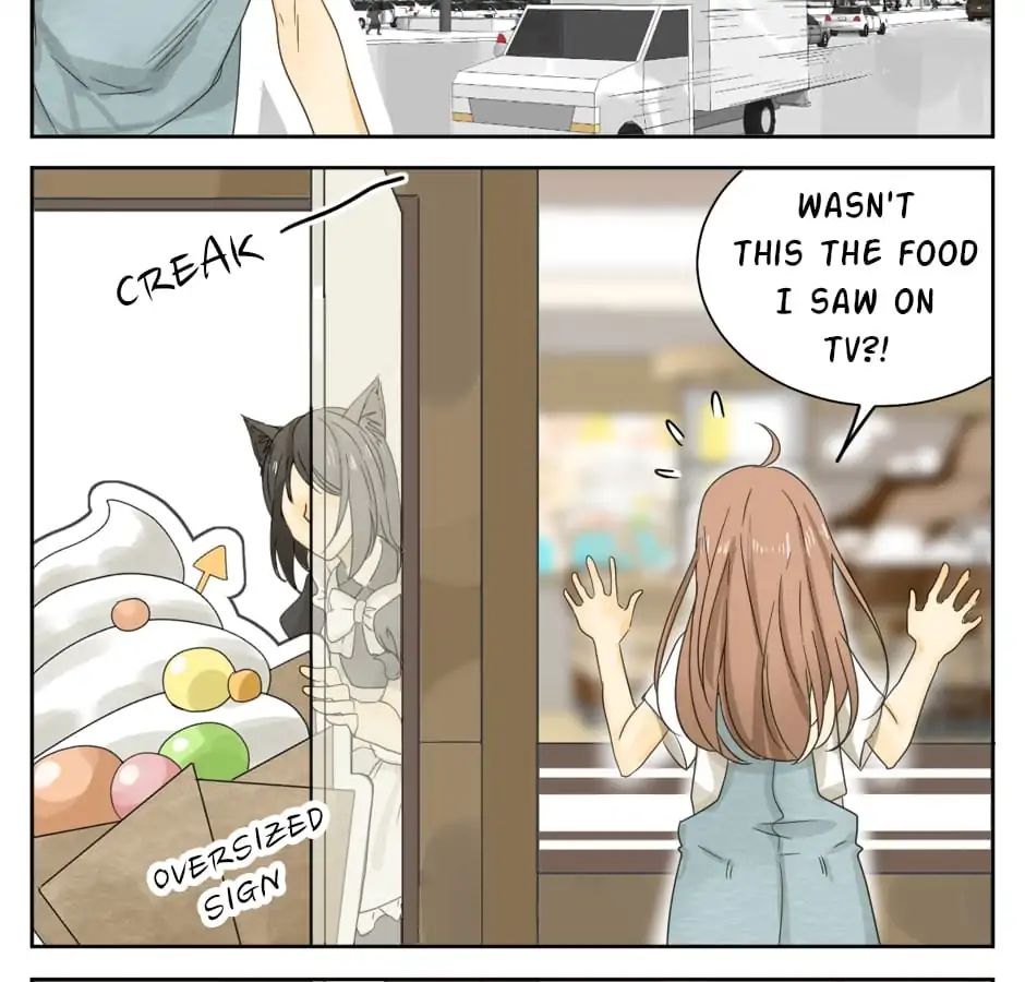 A World Ruled by Cats chapter 11 - page 5
