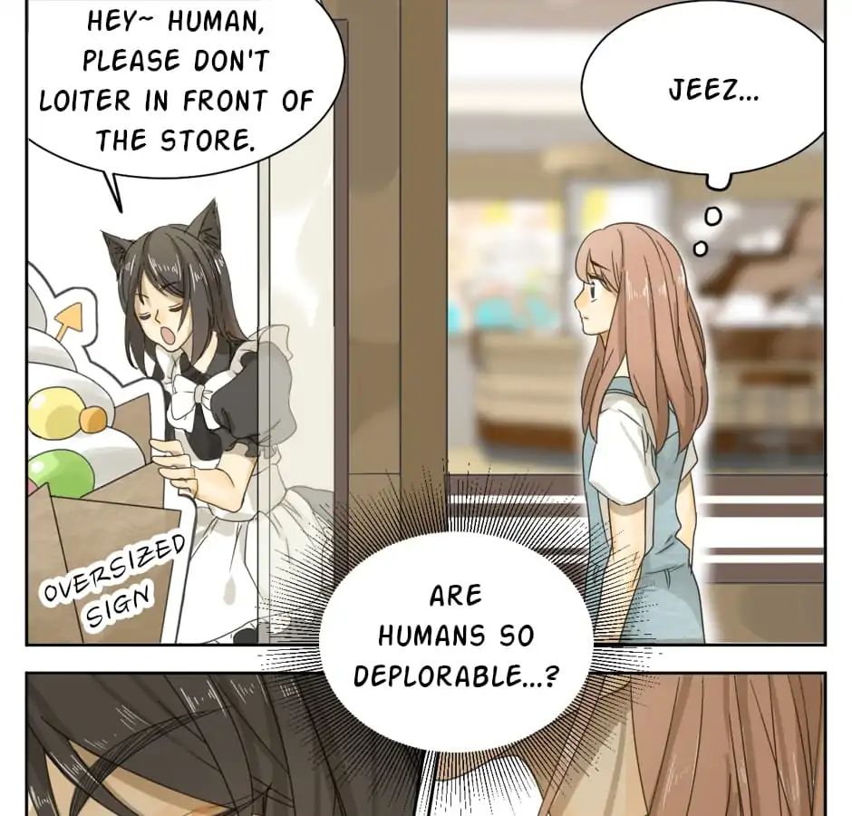 A World Ruled by Cats chapter 11 - page 6