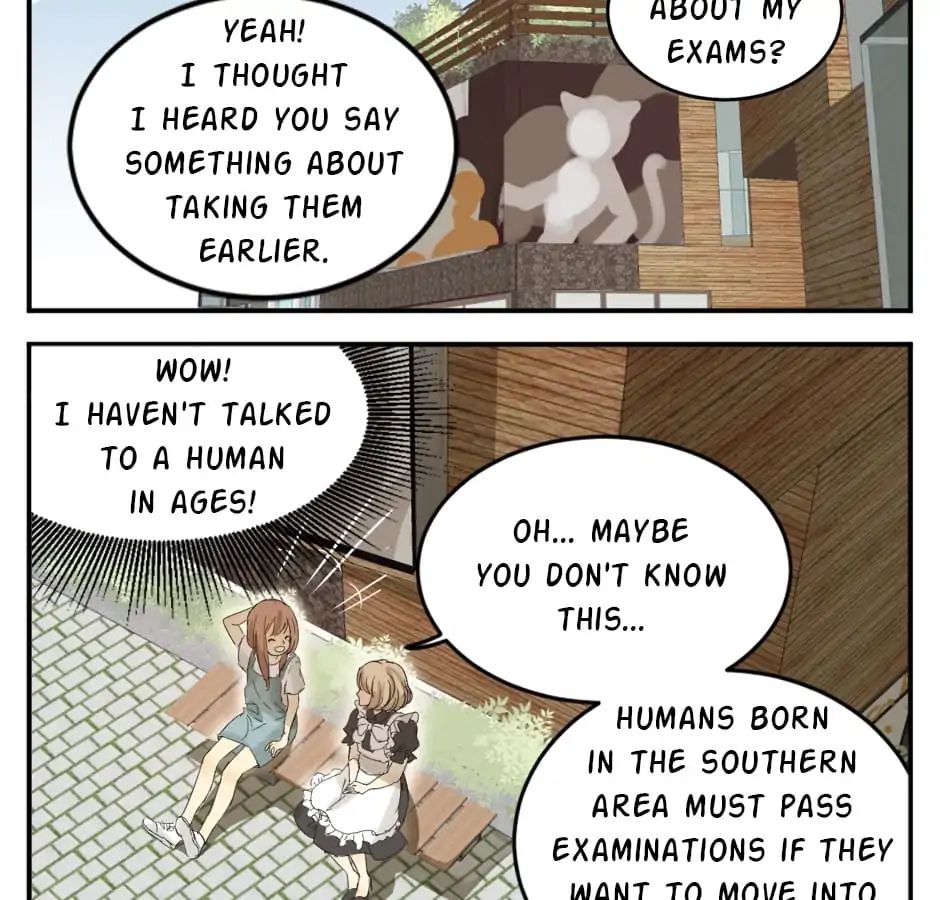 A World Ruled by Cats chapter 12 - page 4