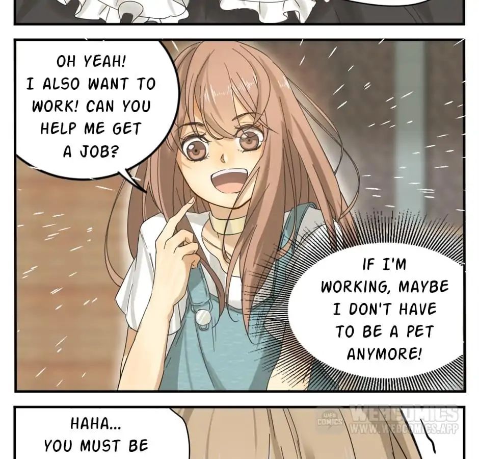 A World Ruled by Cats chapter 12 - page 7